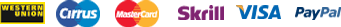 Payment icon