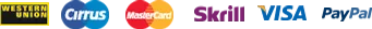 Payment icon